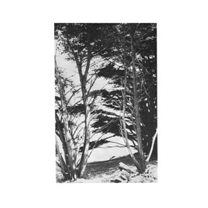 Rick Deitrick - Gentle Wilderness 1LP
