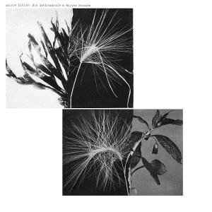 Andrew Pekler - New Environments & Rhythm Studies 1LP
