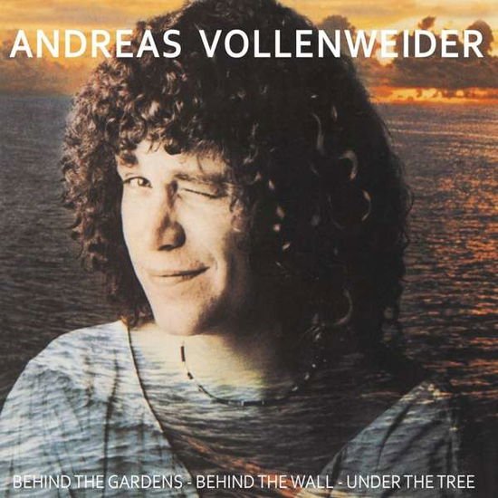 Andreas Vollenweider - Behind The Gardens - Behind The Wall - Under The Tree 1LP