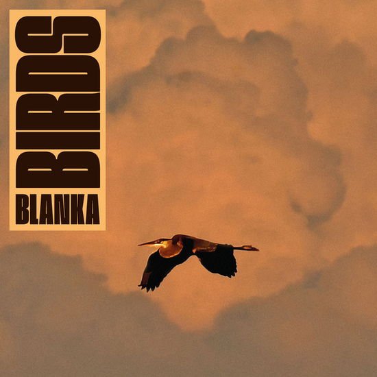 Blanka - Birds 1LP