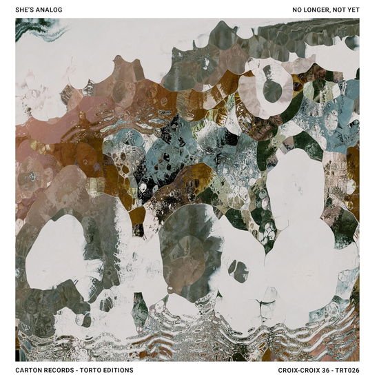 Shes Analog - No Longer Not Yet 1LP