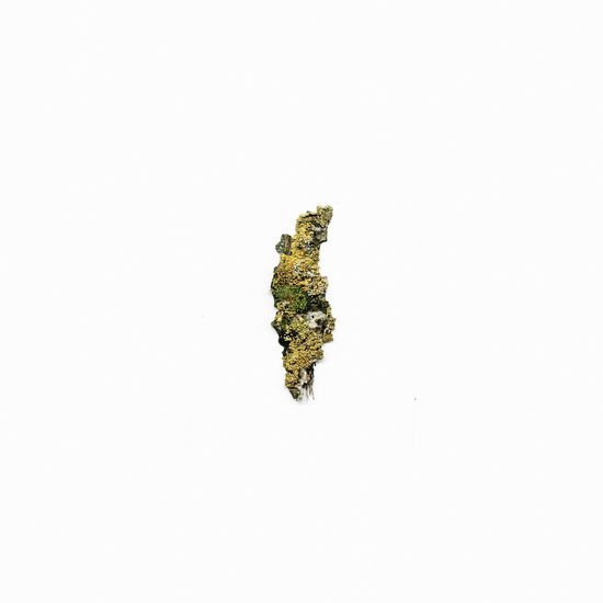 Plangent Compilation Vol. 1 2LP