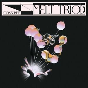 Melt Trio - Consumer 1LP