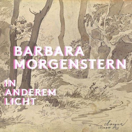 Barbara Morgenstern - In Anderem Licht 2LP