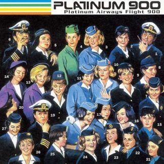 Platinum 900 - Platinum Airways Flight 900 1LP