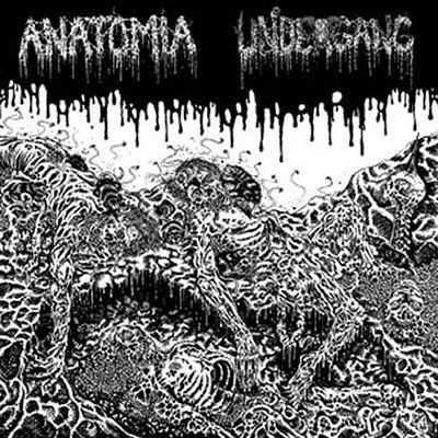 Undergang / Anatomia - Split 1LP