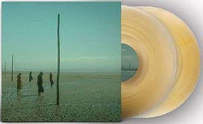 Devil's Witches - In All Her Forms (Gold / Clear Marbled Vinyl) 2LP