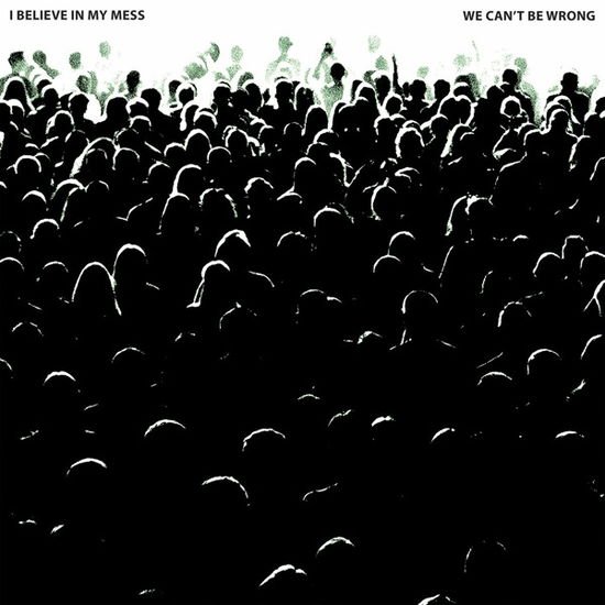 I Believe In My Mess - We Can't Be Wrong 1LP