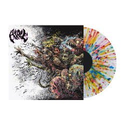 Atoll - Prepuce 1LP