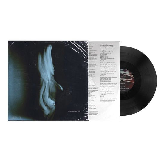 Tom Odell - A Wonderful Life 1LP
