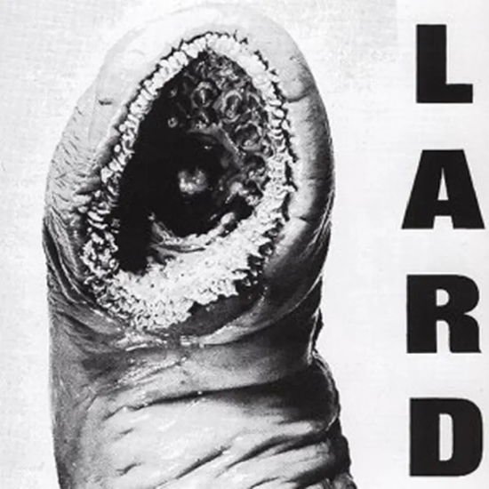 Lard - Power of Lard 1LP