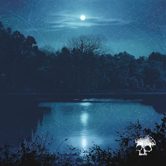 Planes Mistaken For Stars - Do You Still Love Me? 1LP