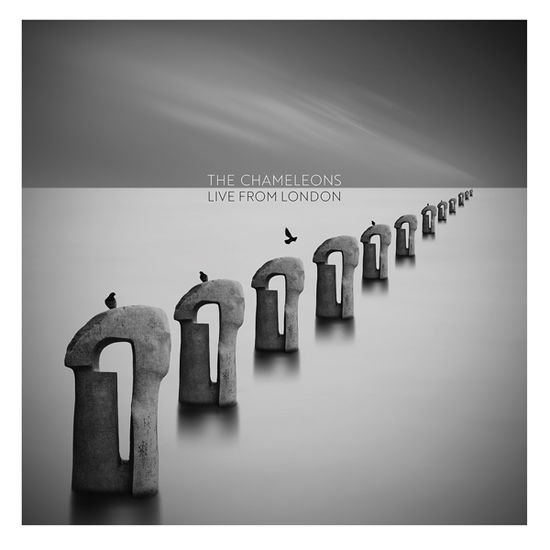 Chameleons - Live From London (Clear Vinyl) 2LP