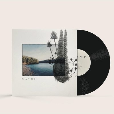 CAAMP 1-LP