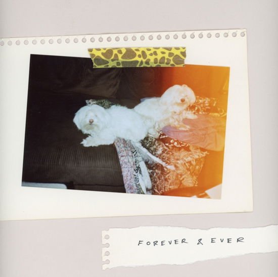 Sales - Forever & Ever 1LP