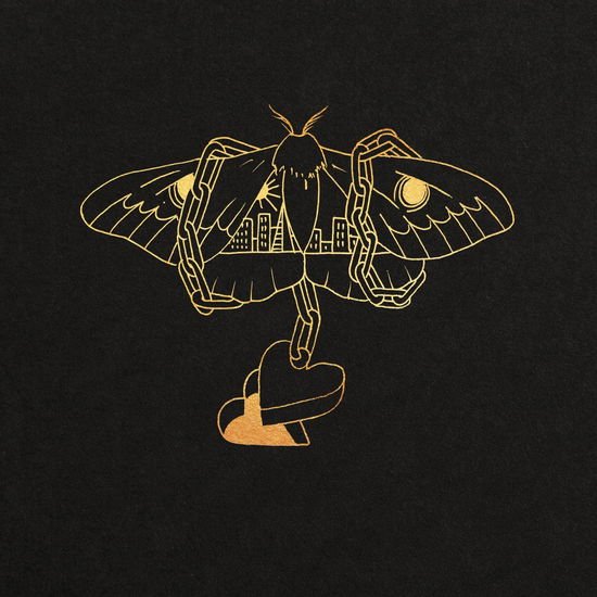 David Gray - Gold in a Brass Age 2LP