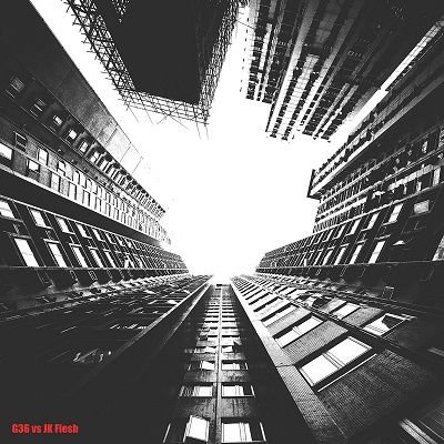 G36 Vs Jk Flesh - Disintegration Dubs 2LP