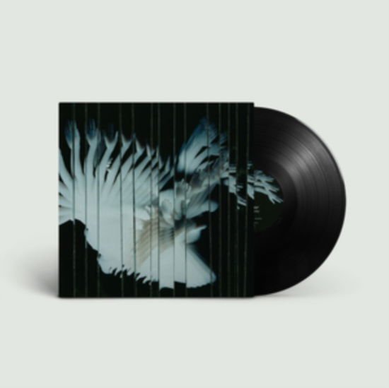 Scaler - Endlessly 1LP