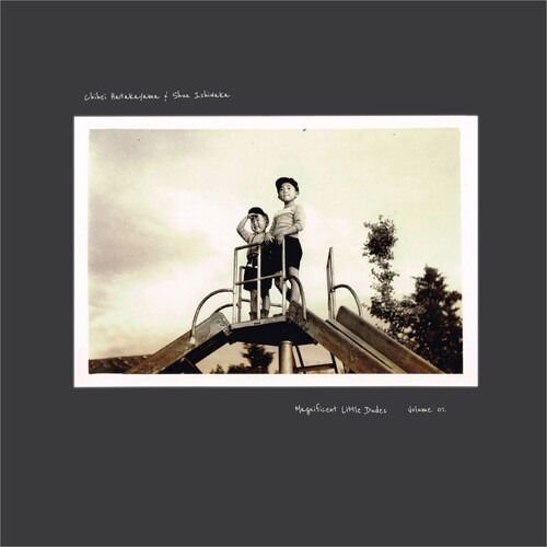 Chihei Hatak... Ishiwaka - Magnificent Little Dud... 2LP