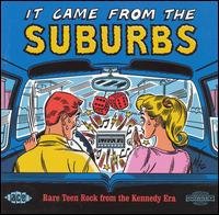 It Came from the Suburbs: Rare - It Came From The Suburbsrare Teen Ro 1CD