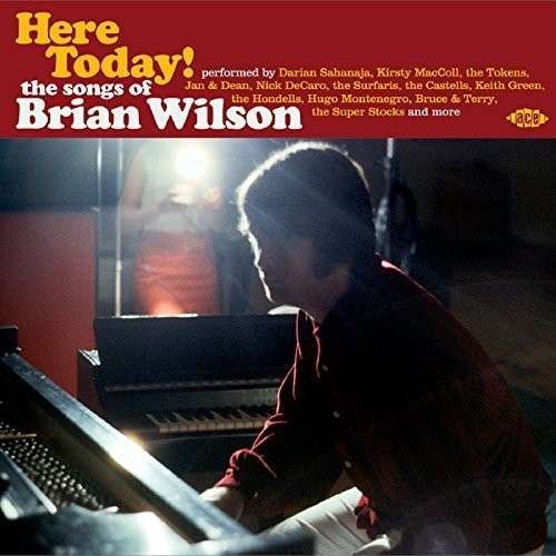 Here Today! The Songs Of Brian Wilson 1CD