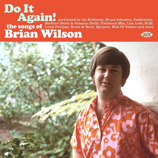 Brian Wilson - Do It Again! The Songs Of Brian Wilson 1CD