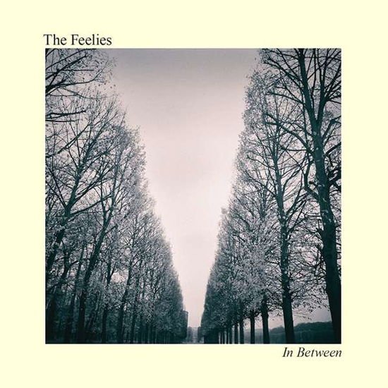 Feelies - In Between 1CD