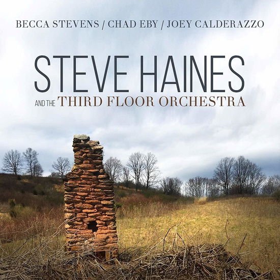 Steve Haines And The Third Flo - Steve Haines And The Third Floor Orchestra 1CD