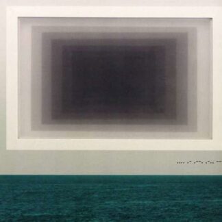 Twin Limb - Haplo 1CD