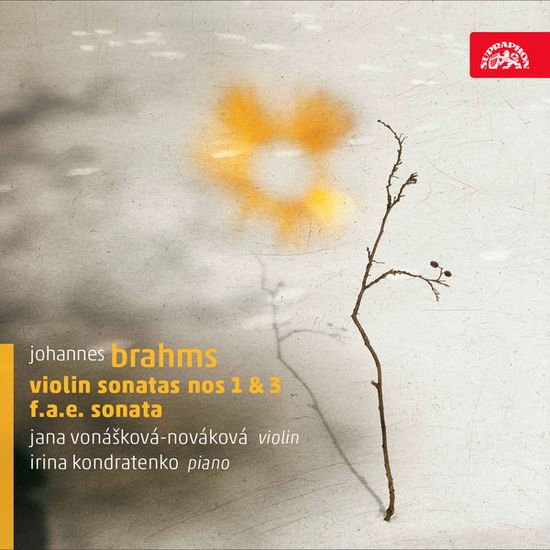 JANA VONASKOVA-NOVAKOVA JOHANNES BRAHMS VIOLIN SONATA CD