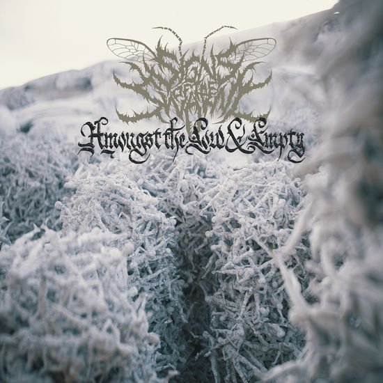 Signs of the Swarm - Amongst the Low & Empty 1CD