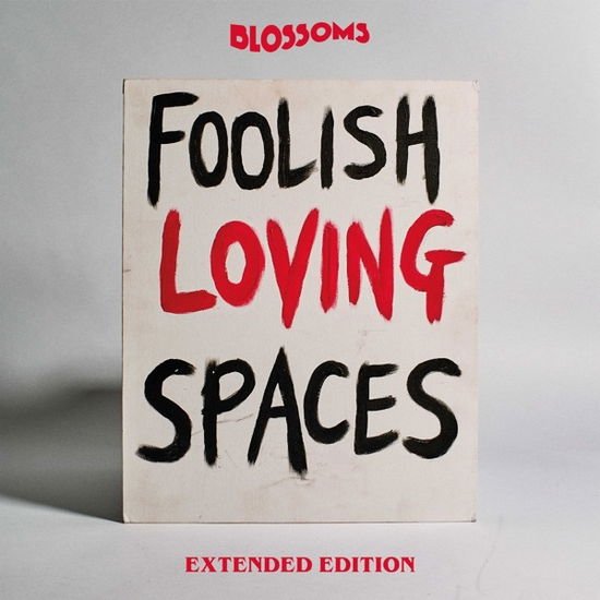 BLOSSOMS  THE FOOLISH LOVING SPACES (EXTENDE CD