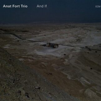 Anat Fort Trio - And If 1CD