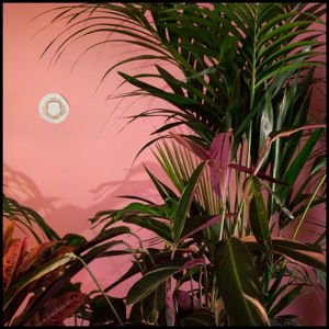 BEATY HEART Mixed Blessings CD