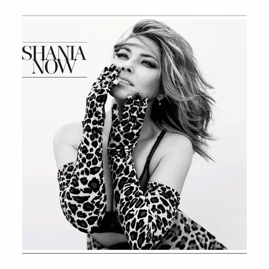 Shania Twain - Now 1CD