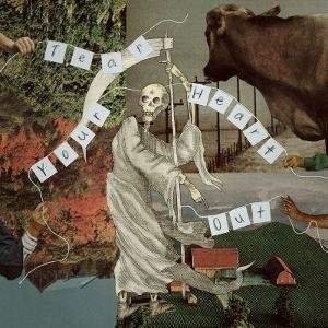 Villagerrr - Tear Your Heart Out 1CD
