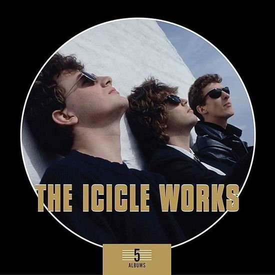 The Icicle Works - 5 Albums Box Set 5CD