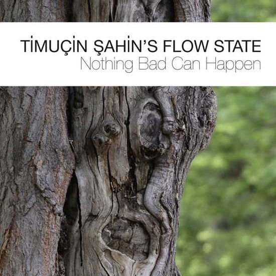 Timucin Sahin's Flow Stat - Nothing Bad Can Happen 1CD