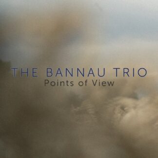 Bannau Trio - Points Of View 1CD