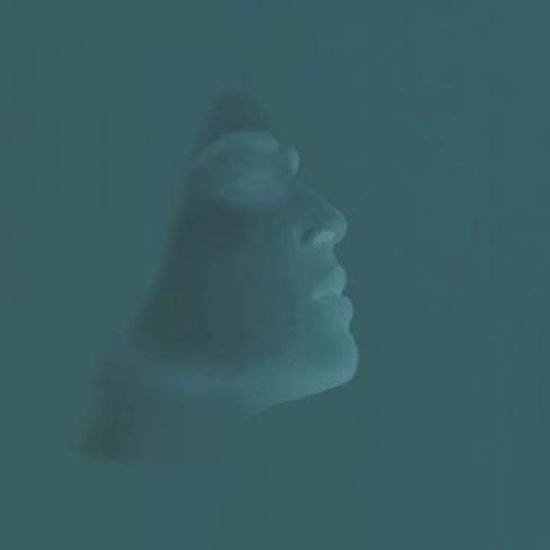 BEAUTIFUL SKIN Everything. All This And More CD