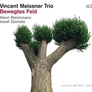 Vincent Meissner Trio - Bewegtes Feld 1CD