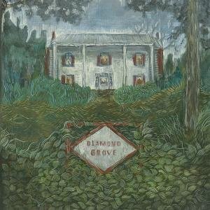 Weirs - Diamond Grove 1CD