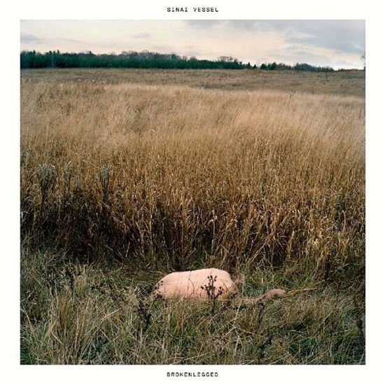 Sinai Vessel - Brokenlegged 1CD
