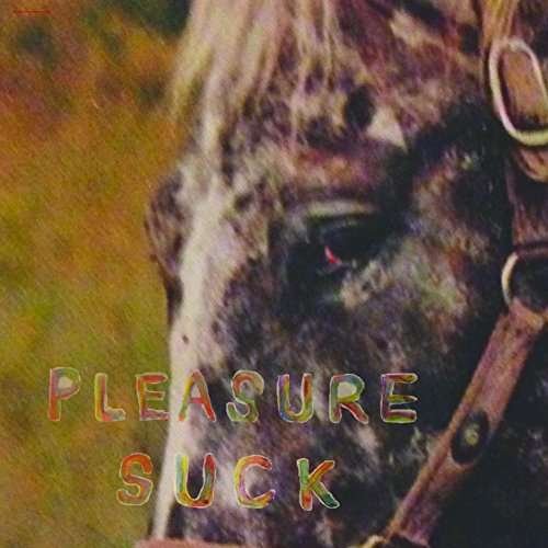 Spirit Of The Beehive - Pleasure Suck 1CD