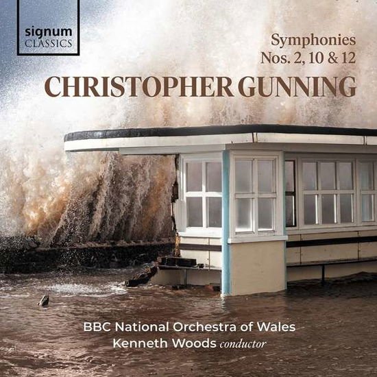 BBC NATIONAL ORCHESTRA OF WALES, KENNETH WOODS CHRISTOPHER GUNNING: SYMPHONIES NOS. 2, 10 & 1 CD