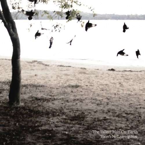 Tallest Man On Earth - There's No Leaving 1CD