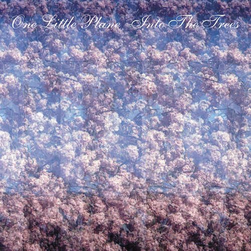 One Little Plane - Into The Trees 1CD