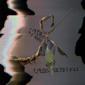T. Gowdy - Trill Scan 1CD