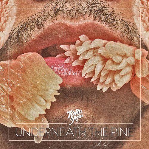 Toro Y Moi - Underneath The Pine 1CD