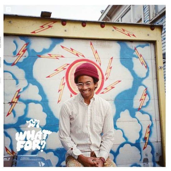 Toro Y Moi - What For 1CD